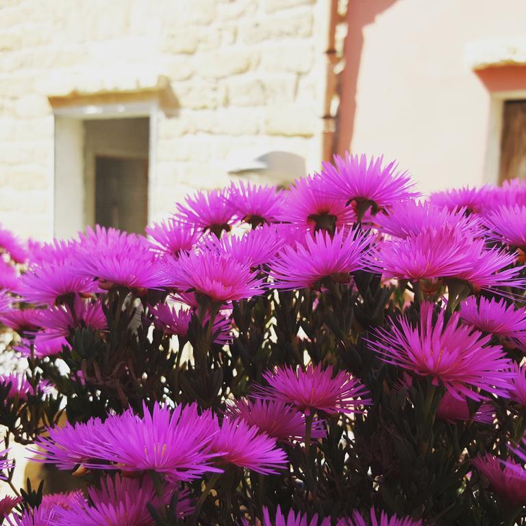 B&B Cinisi Vacanze Buitenkant foto